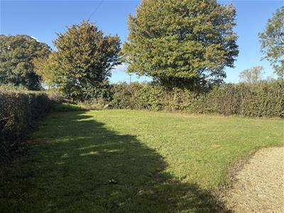Picture 26